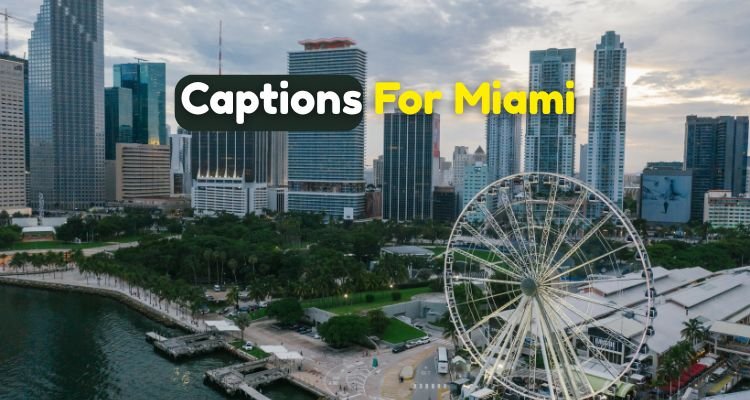 Captions For Miami