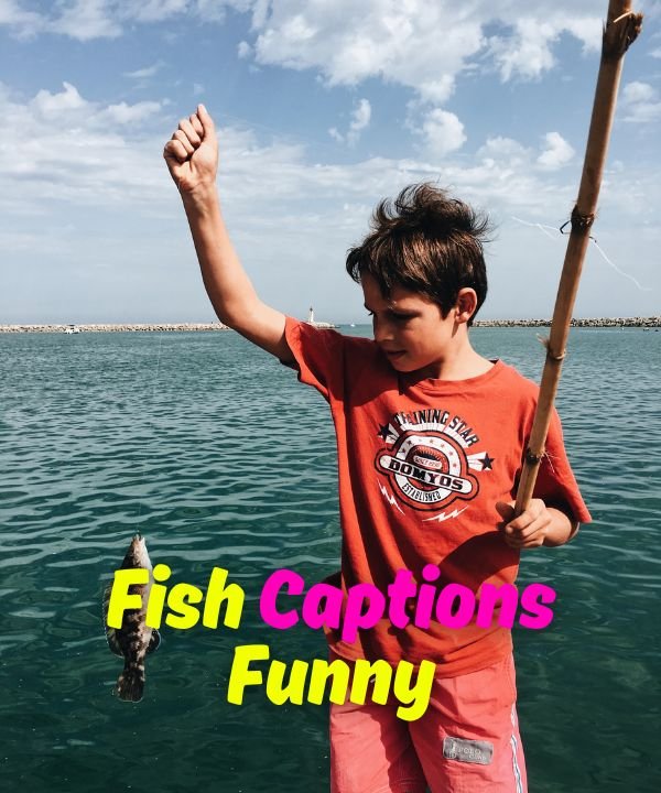 Fish Captions Funny