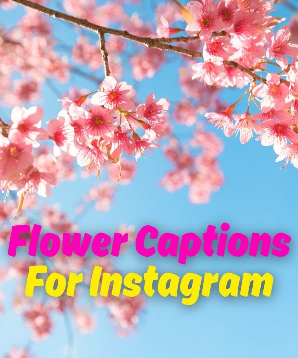 Flower Captions For Instagram