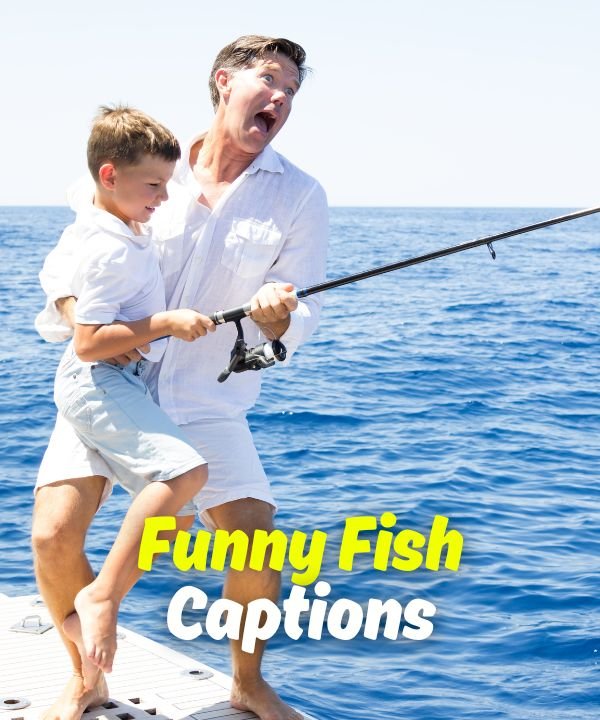 Funny Fish Captions