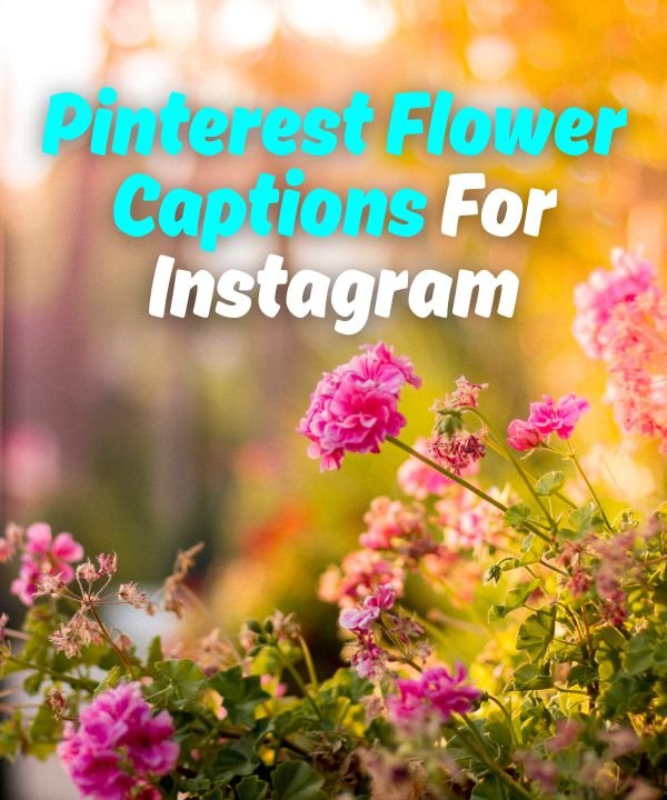 Pinterest Flower Captions For Instagram