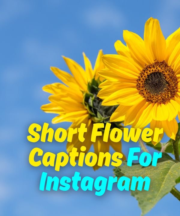 Short Flower Captions For Instagram